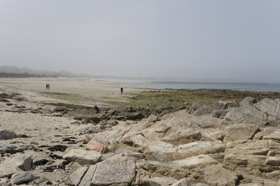 IMG_6186.jpg