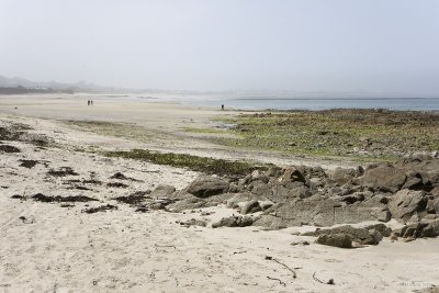 IMG_6190.jpg