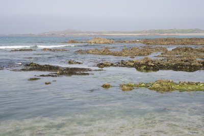 IMG_6197.jpg