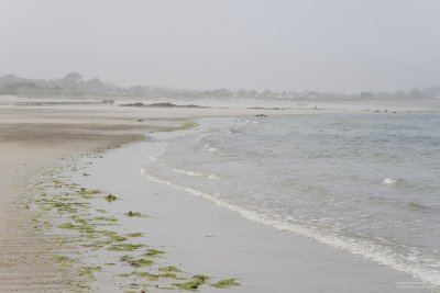 IMG_6212.jpg