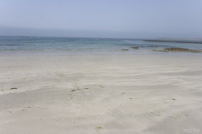 IMG_6221.jpg