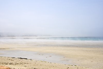IMG_6108.jpg