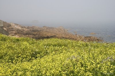 IMG_6123.jpg