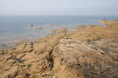 IMG_6135.jpg