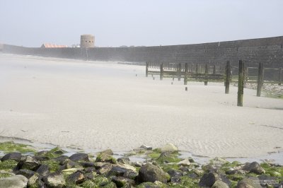 IMG_6181.jpg