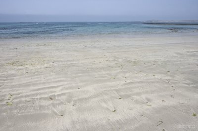 IMG_6223.jpg