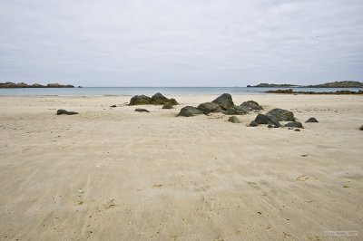 IMG_6332.jpg