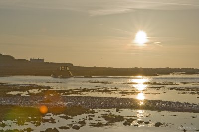 IMG_6392.jpg