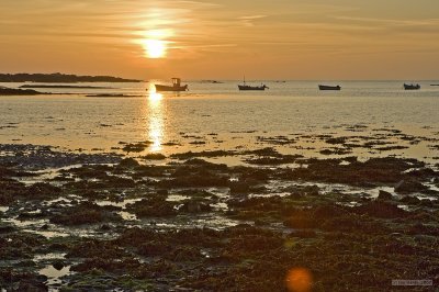 IMG_6441.jpg
