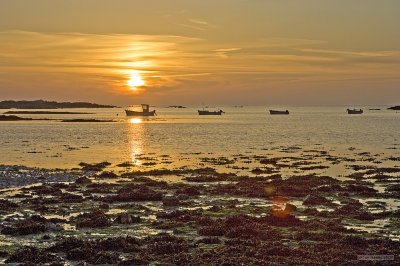 IMG_6450.jpg