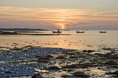 IMG_6504.jpg