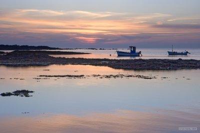 IMG_6563.jpg