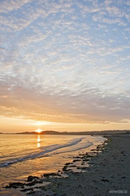 IMG_6892.jpg