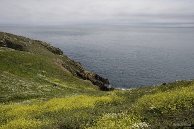 IMG_7305.jpg