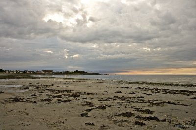 IMG_7367.jpg