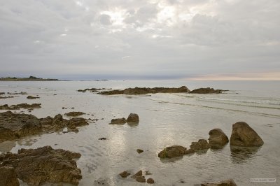 IMG_7372.jpg
