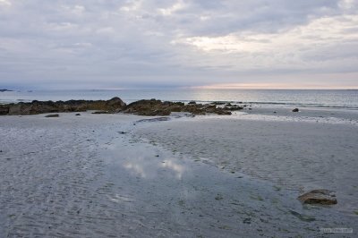 IMG_7417.jpg