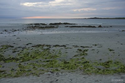IMG_7430.jpg