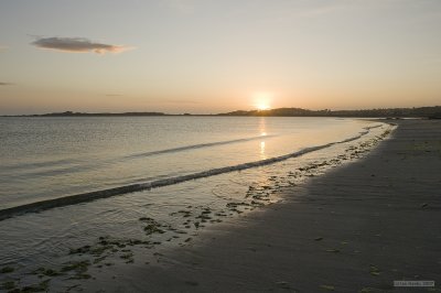 IMG_7484.jpg