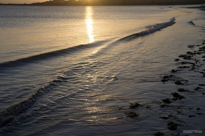 IMG_7493.jpg
