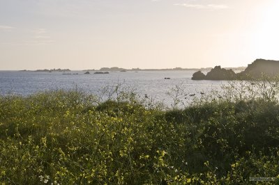 IMG_7530.jpg