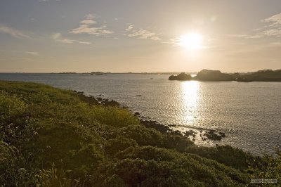 IMG_7533.jpg