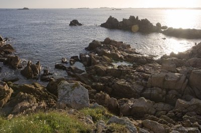 IMG_7559.jpg