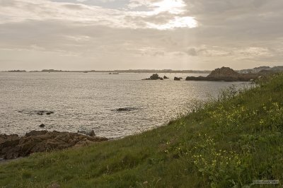 IMG_7584.jpg