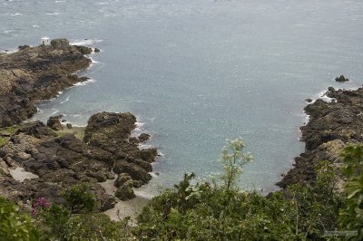 IMG_7599.jpg