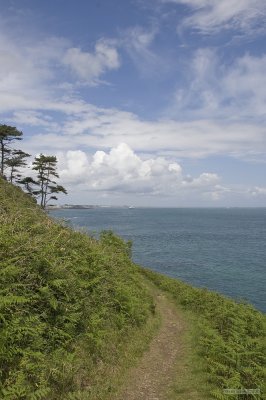 IMG_7642.jpg
