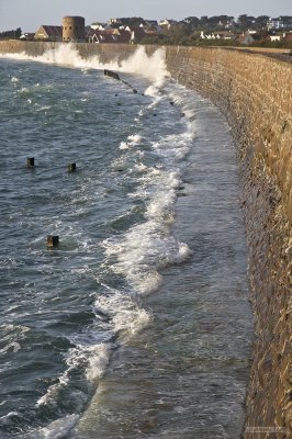 IMG_7772.jpg
