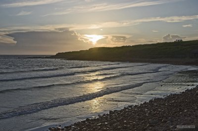 IMG_7780.jpg