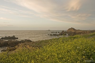 IMG_7812.jpg