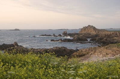 IMG_7846.jpg