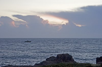 IMG_7873.jpg