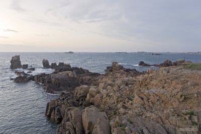 IMG_7876.jpg