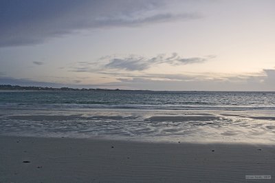 IMG_7881.jpg