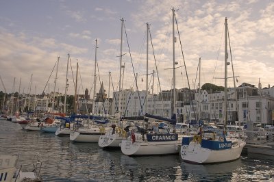 IMG_7981.jpg