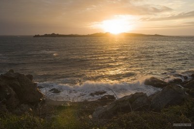 IMG_8022.jpg