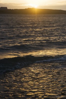 IMG_8027.jpg