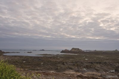 IMG_8044.jpg