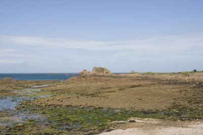 IMG_7897.jpg