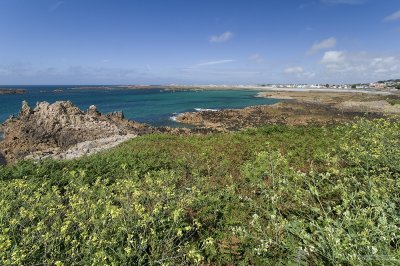 IMG_7931.jpg