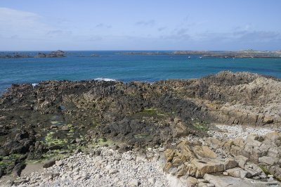 IMG_7938.jpg