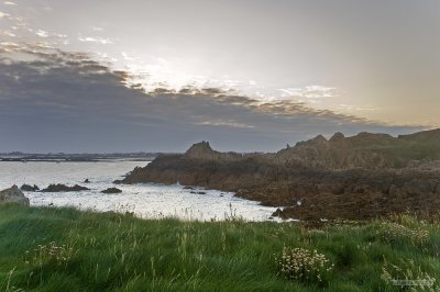 IMG_8052.jpg