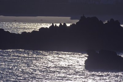 IMG_8113.jpg
