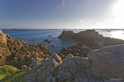 IMG_8139.jpg