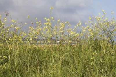 IMG_8188.jpg