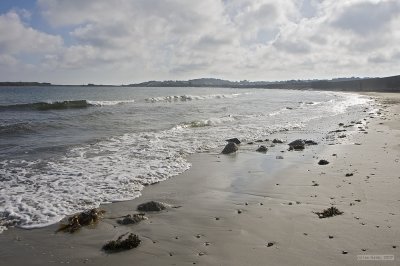 IMG_8193.jpg