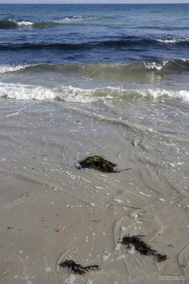 IMG_8197.jpg